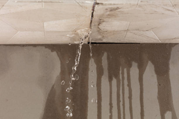 Professional Burst Pipe Cleanup technician working in McCoy, CO